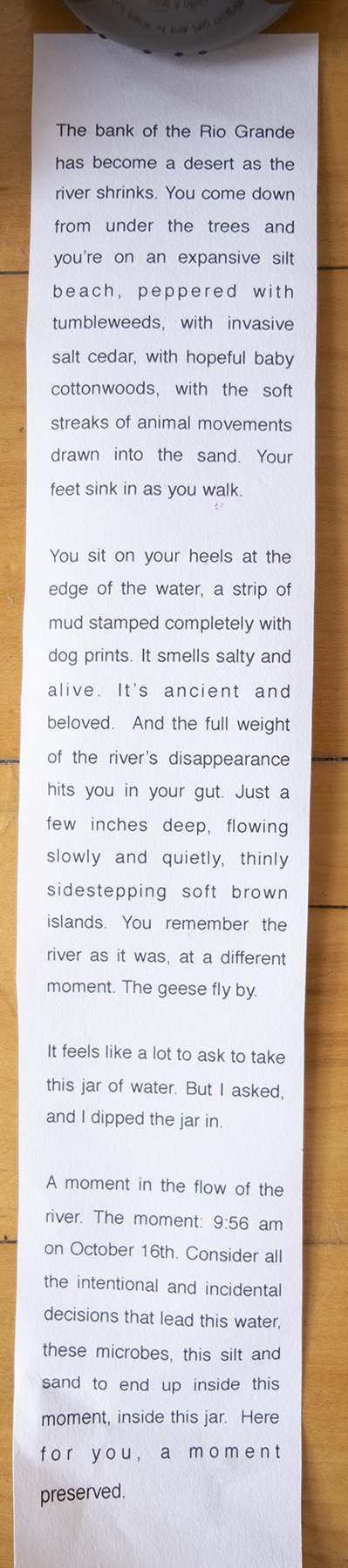 A narrow vertical scroll of printed text is photographed on a wood floor. It reads: ﻿The bank of the Rio Grande has become a desert as the river shrinks. You come down  from under the trees and  you're on an expansive silt beach, peppered with tumbleweeds, with invasive salt cedar, with hopeful baby cottonwoods, with the soft streaks of animal movements drawn into the sand. Your feet sink in as you walk.  You sit on your heels at the edge of the water, a strip of mud stamped completely with dog prints. It smells salty and alive. It's ancient and beloved. And the full weight of the river's disappearance hits you in your gut. Just a few inches deep, flowing slowly and quietly, thinly sidestepping soft brown islands. You remember the river as it was, at a different moment. The geese fly by.  It feels like a lot to ask to take this jar of water. But I asked, and I dipped the jar in.  A moment in the flow of the  river. The moment 9:56 am on October 16th. Consider all the intentional and incidental decisions that lead this water,  these microbes, this silt and sand to end up inside this  moment, inside this jar. Here for you, a moment preserved.  