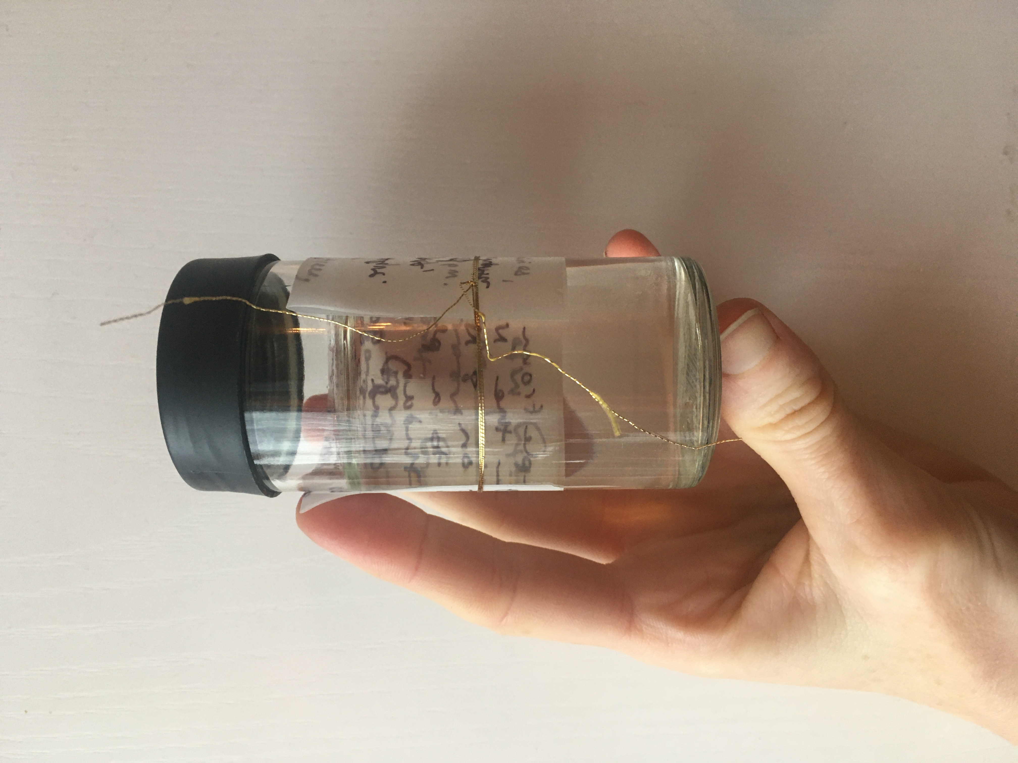 A hand holds a glass spice containerfilled with water against a white background. The container is cylindrical, with a black plastic lid. There is an illegible note written on translucent paper wrapped around the container, and tied with gold thread.